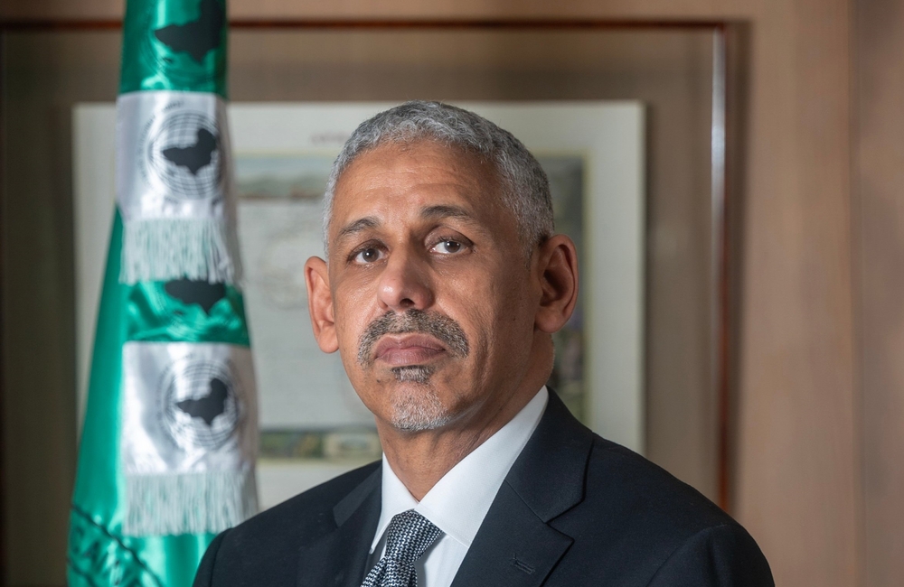 Africa must seize global trade disruption as 'historic opportunity,' leaders tell private sector
